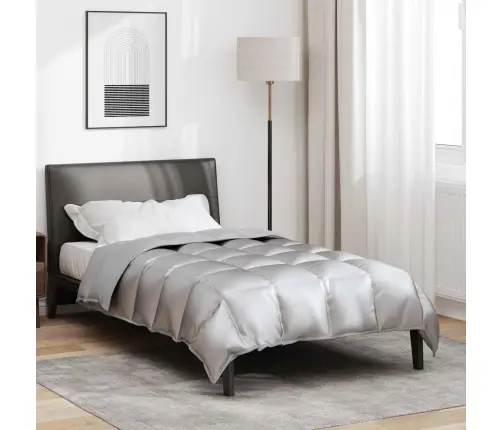 Žiemos Antklodė Sidabro 220 X 140 Cm Satin Ir Mikropluoštas