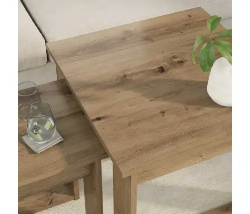 Kafijas Galda Komplekts 2 Pcs Artisānā Ozols Inženierijas Koks Vidaxl