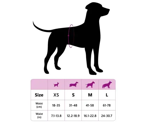 Izmantojams Vīriešu Suņu Autiņš 30 Pcs Balts S Vidaxl