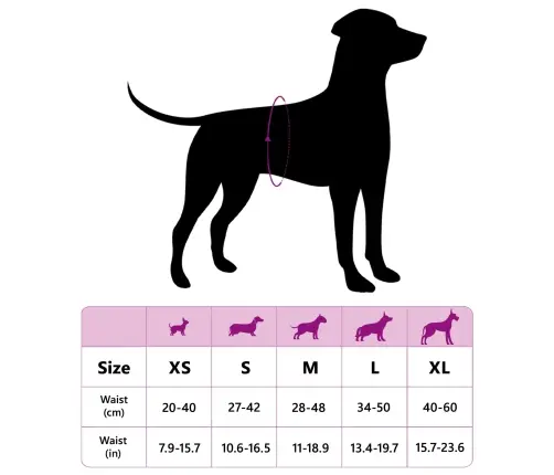 Vienreizējās Lietošanas Suņu Autiņbikses Mātītēm 50 Pcs Balts S Vidaxl
