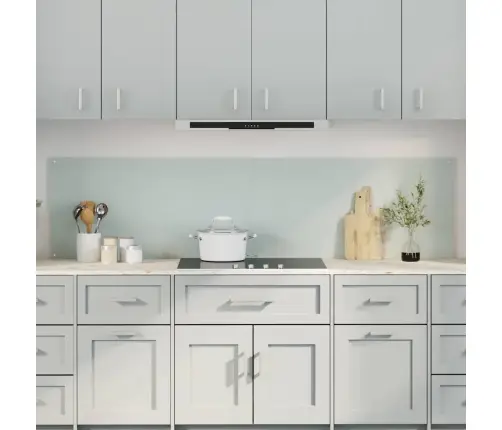 Virtuvės Užpakalinė Plokštė 2 Pcs Balta 100 X 50 Cm