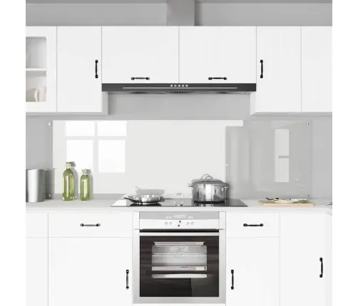 Virtuvės Užpakalinė Plokštė 2 Pcs Skaidrus 100 X 60 Cm