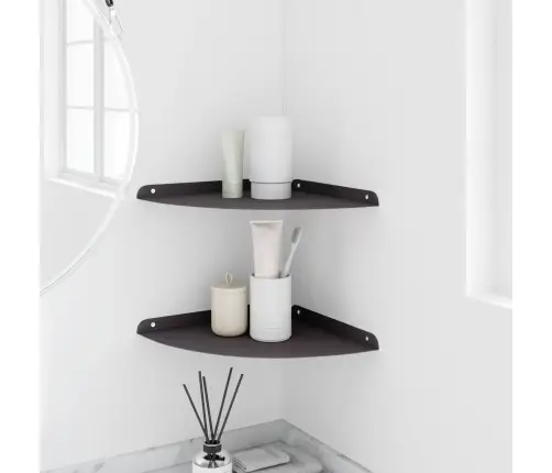 Sienas Plaukts Ar Plauktu 2 Pcs Melna 18 X 18 X 2.3 Cm Vidaxl