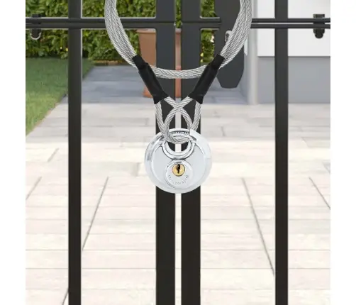 Discus Lock Ar Atslēgām 12 Pcs Sudraba 6 X 2.3 X 6 Cm Vidaxl