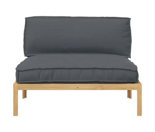 Dīvānu Komplekts Antracīts 120 X 80 X 69 Cm Cietā Akācijas Koks Vidaxl