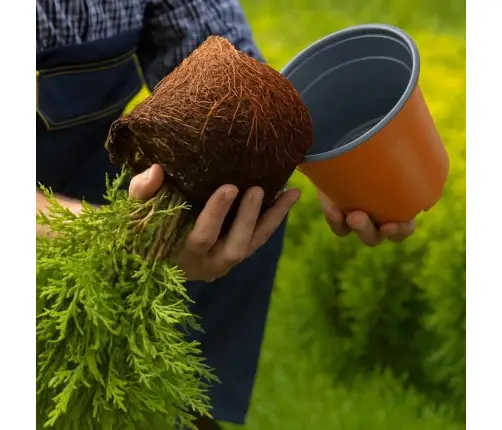 Ziedu Pods 200 Pcs Keramika Ø 15 X 12.5 Cm Plastmasa Vidaxl