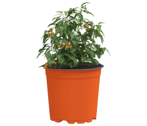 Gėlių Vazonas 200 Pcs Keramika Ø 15 X 13 Cm Plastmasė