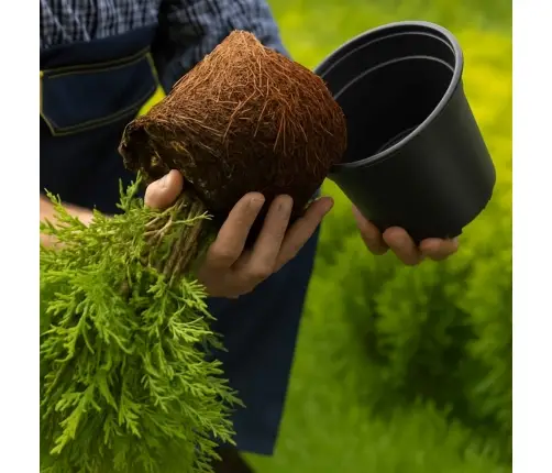 Ziedu Pods 100 Pcs Melna Ø 15 X 12.5 Cm Plastmasa Vidaxl