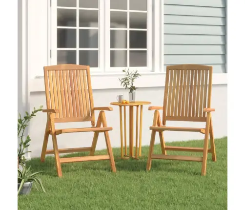 Dārza Krēsli, Atgāžami, 2 Gab., Masīvs Tīkkoks Vidaxl