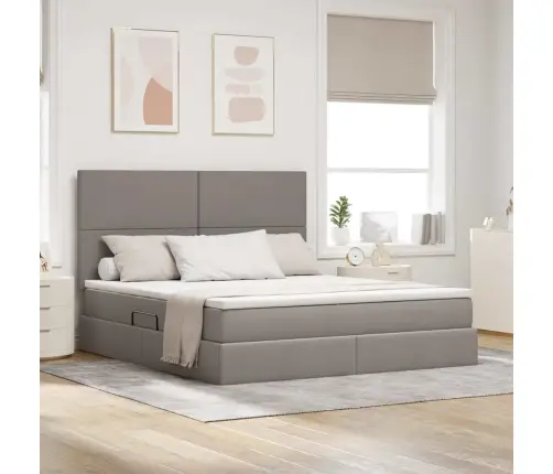 Gulta Ar Uzglabāšanas Vietu Un Led Pelēkbrūna 160 X 200 Cm Vidaxl