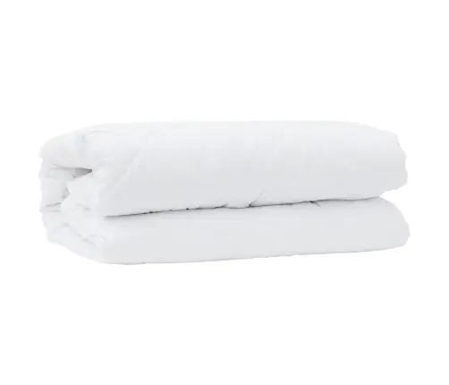 Sega Ar Spilvenu 2 Pcs Balta 155 X 220 Cm Mikrošķiedra Vidaxl