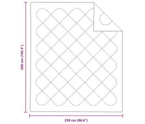 Antklodė Su Pagalve 3 Pcs Balta Mikropluoštas