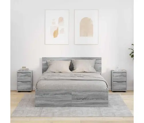 Naktiniai Staliukai 2 Pcs Pilkas Sonoma 30,5 X 30 X 43 Cm