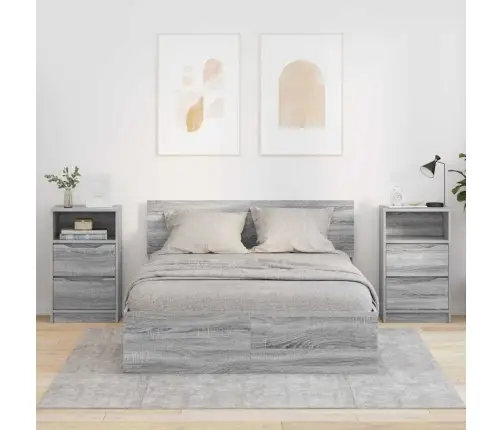 Nakts Skapīši Ar Atvilktni 2 Pcs Pelēks Sonoma 40 X 30 X 467 Cm Vidaxl