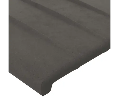Atsperu Gulta Ar Matraci, Tumši Pelēka Samts, 120X200 Cm Vidaxl