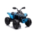 Электрический квадроцикл для детей CAN-AM Renegate Blue