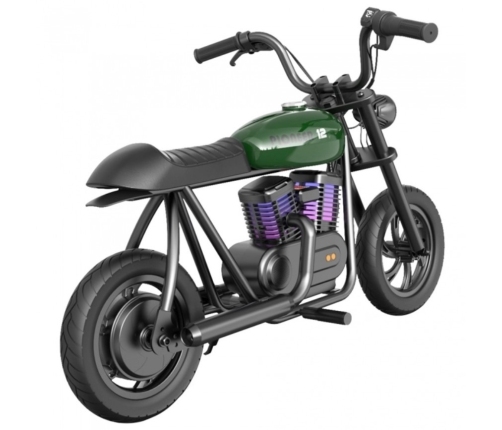 Elektro motocikls Hyper Gogo Pioneer 12 Plus GREEN