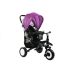 Tricycle Bike PRO400  - Violet