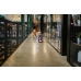 Scoot & Ride Blueberry regulējama ķivere bērniem (45-51)