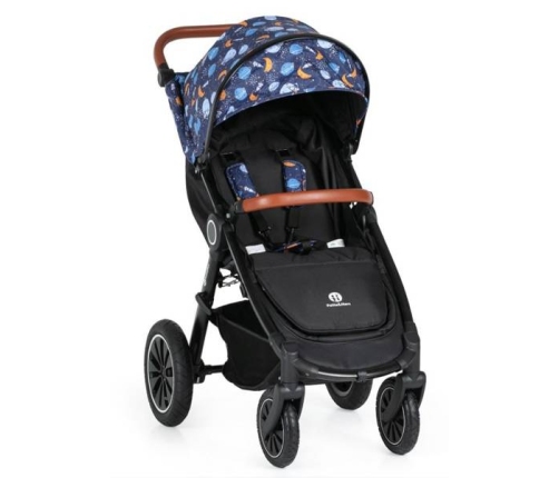 Petite&Mars Street+ RWS Oak + Cosmos Pastaigu rati