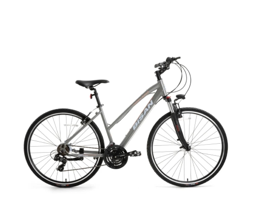 Tūrisma velosipēds Bisan 28 TRX8200-23 City Lady pelēks (S)