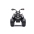 Elektriskais kvadracikls bērniem Quad Madman JS009 Black