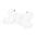 Bambusa spilvens Butterfly Honey Bunny