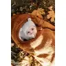 Bērnu ratu guļammaiss Alpaka Toffy