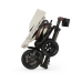 Qplay Rowerek Trójkołowy Nova Deluxe Beige