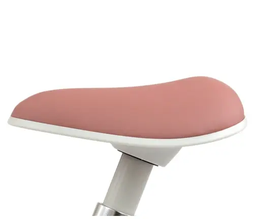 Rowerek Biegowy Skippy Pink