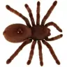 Attālināti vadāms TARANTULA zirneklis + PILOTS