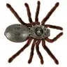 Attālināti vadāms TARANTULA zirneklis + PILOTS