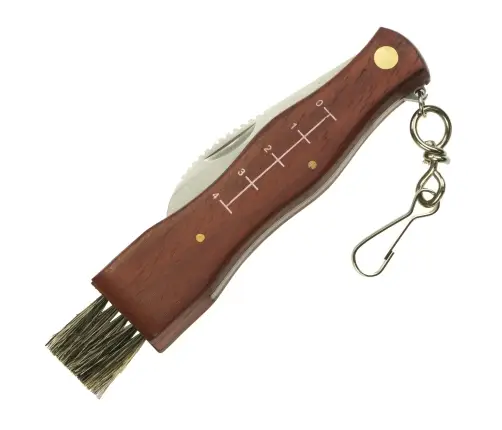 Kabatas nazis sēņu sēņošanai