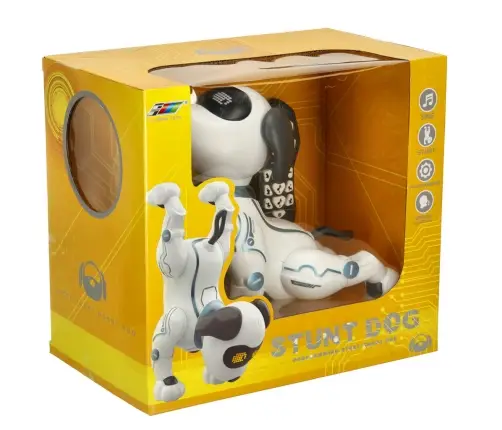 RC robots suns lec pastaigas