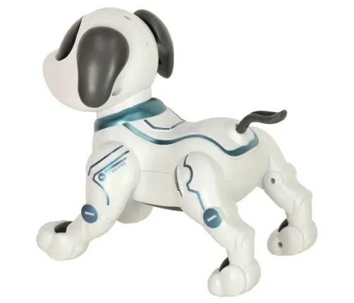 RC robots suns lec pastaigas