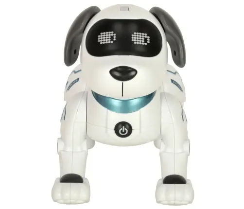 RC robots suns lec pastaigas