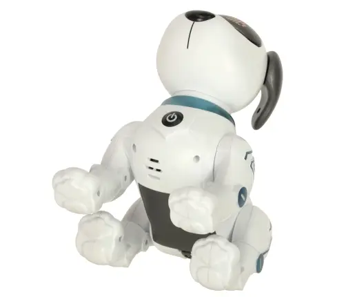 RC robots suns lec pastaigas