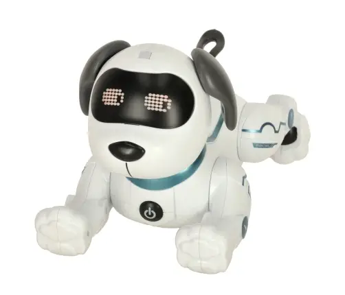 RC robots suns lec pastaigas