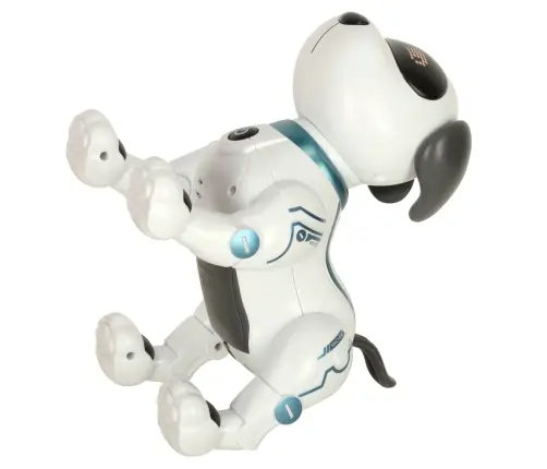 RC robots suns lec pastaigas