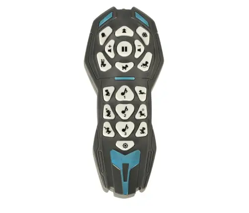 RC robots suns lec pastaigas