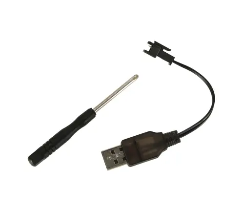 RC robots suns lec pastaigas