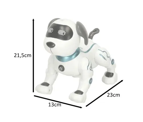 RC robots suns lec pastaigas