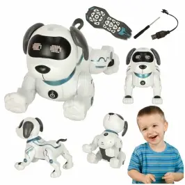 RC robots suns lec pastaigas