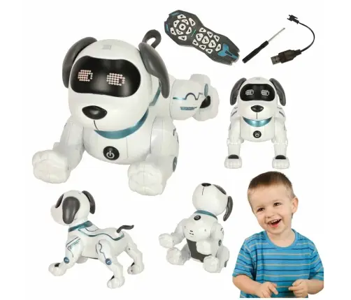 RC robots suns lec pastaigas