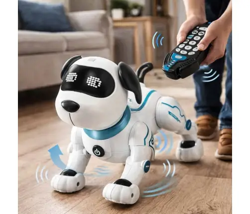 RC robots suns lec pastaigas