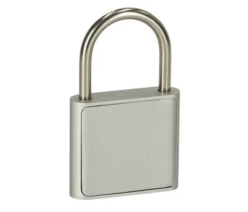 Pirkstu nospiedumu atslēga nteligent black