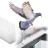 Baložu spīles putnu aizbāzni plastmasas blīvs blīvs balts 8el. 43 cm