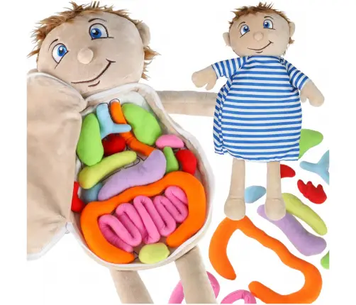 Maskot lelle, kas mācās anatomiju zēns