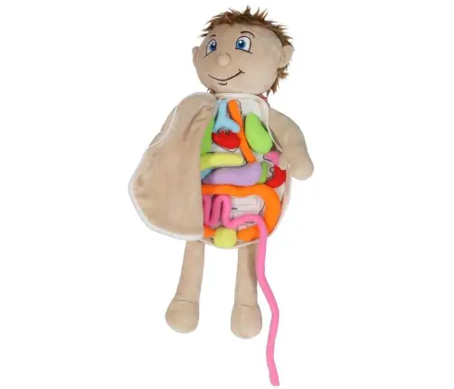 Maskot lelle, kas mācās anatomiju zēns