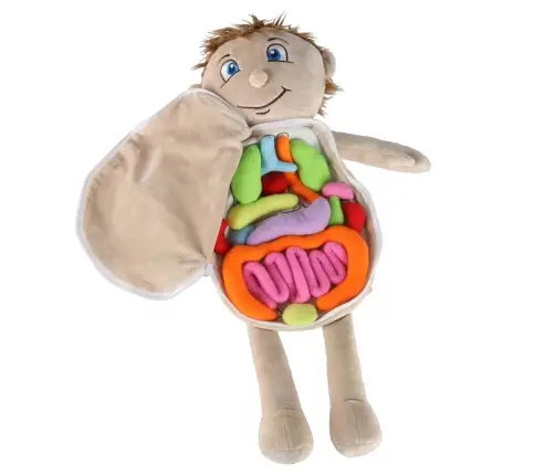 Maskot lelle, kas mācās anatomiju zēns